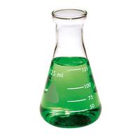 Erlenmeyer Flask